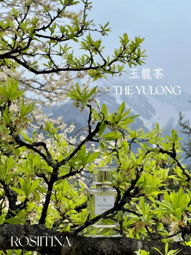 玉龍茶精油香水 (茶香調)
