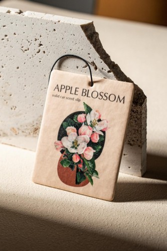 PHOTO-2022-04-06-17-04-38 (1)